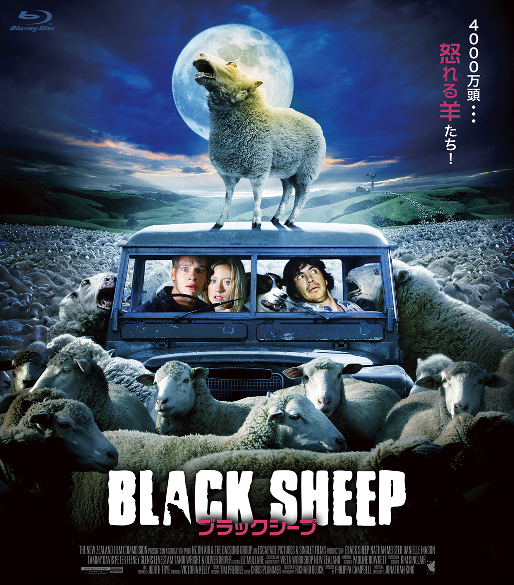 BLACK SHEEP